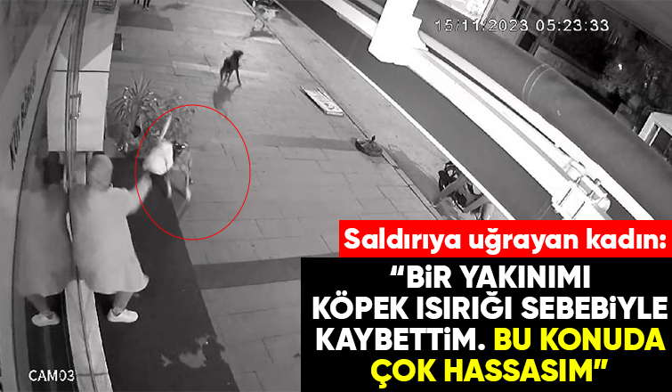 Dükkanını açarken sokak köpeklerinin saldırısına uğradı