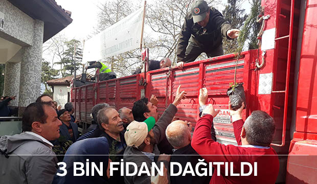 Dünya Ormancılık Gününde Akyazı da 3 Bin Fidan Dağıtıldı