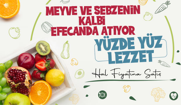 Efecan Tanzim İle Her Mevsim, Tazeliği Keşfedin