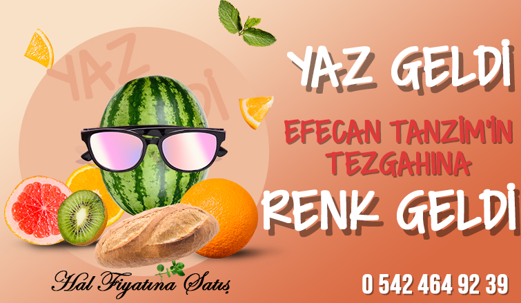 Efecan Tanzim Satış'a Yaz Geldi