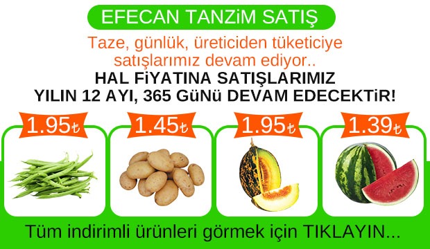 Efecan Tanzim Satış'da ŞOK FİYATLAR