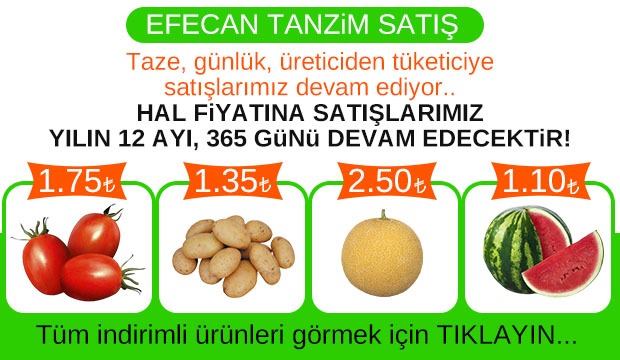 Efecan Tanzim Satış'da ŞOK FİYATLAR