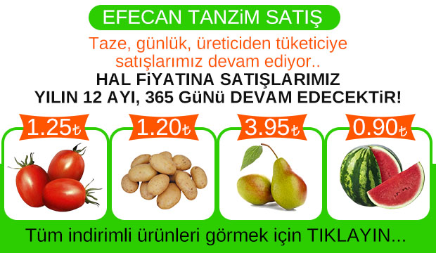 Efecan Tanzim Satış'da ŞOK FİYATLAR