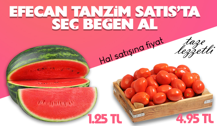 Efecan Tanzim satış'ta kendiniz seçin