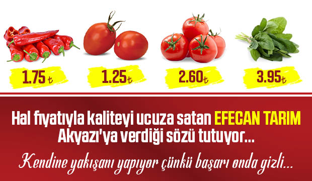 Efecan Tanzim Satışta her gün en ucuz fiyat