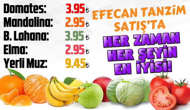 Efecan Tanzim Satışta her gün en ucuz fiyat
