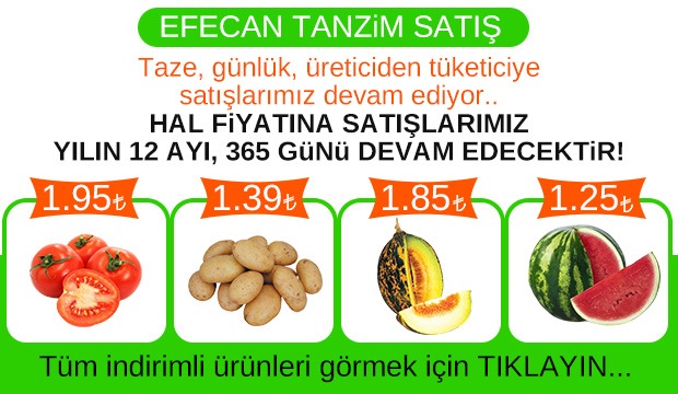 Efecan Tanzim Satışta her gün en ucuz fiyat