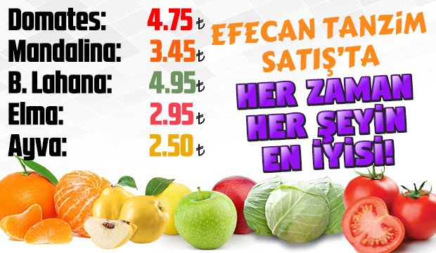 Efecan Tanzim Satışta her gün en ucuz fiyat
