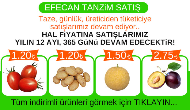 Efecan Tanzim Satışta her gün en ucuz fiyat
