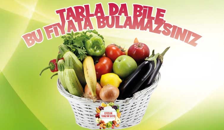 Efecan Tanzim Satışta her gün en ucuz fiyat