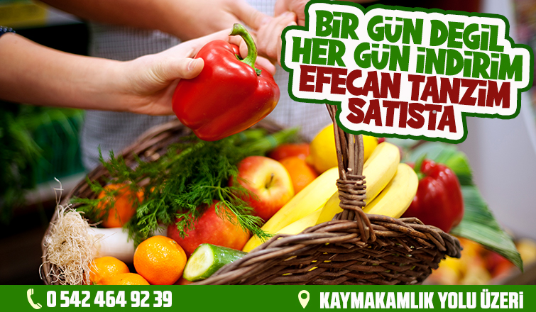Efecan Tanzim Satışta Her Gün En Ucuz Fiyat