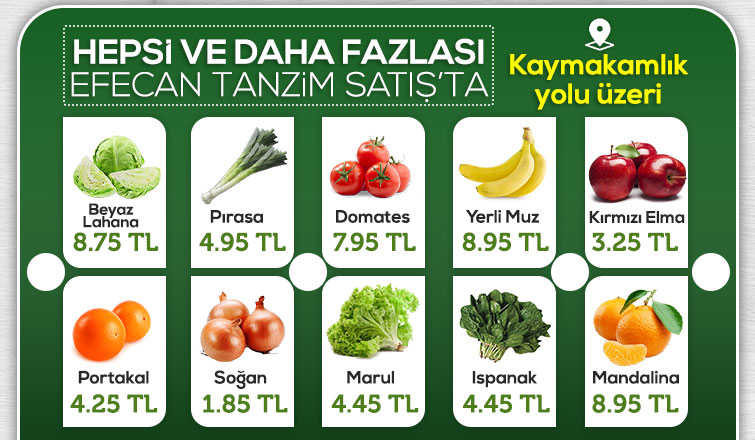 Efecan Tanzim Satışta her gün en ucuz fiyat