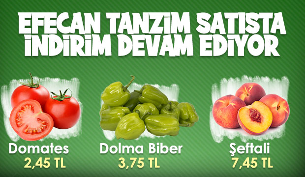 Efecan Tanzim Satışta her gün en ucuz fiyat