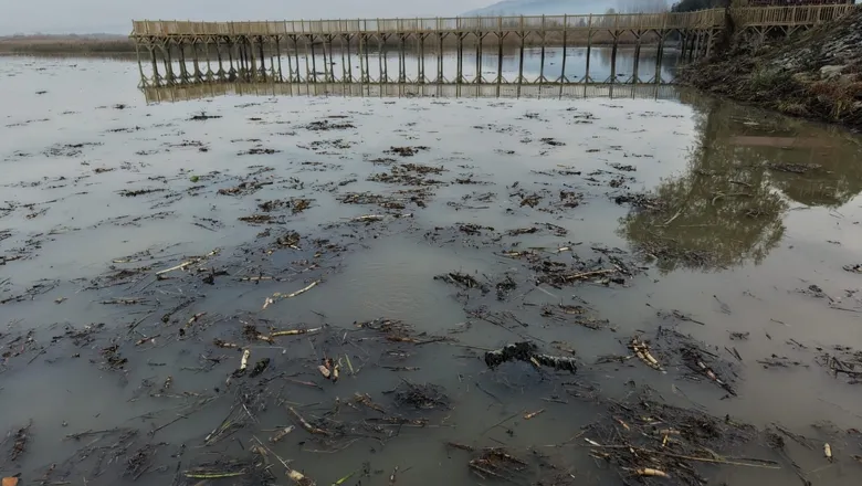 Efteni Gölü’nde korkutan fokurtu