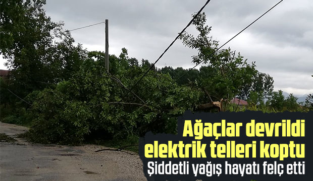 Elektrik Telleri Fırtınaya Dayanamadı