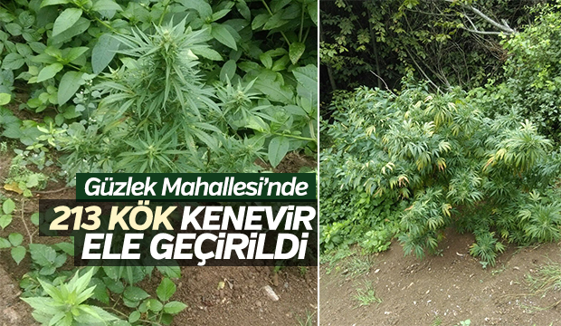 Emniyet Güçleri Uyuşturucu Tacirlerine Göz Açtırmıyor