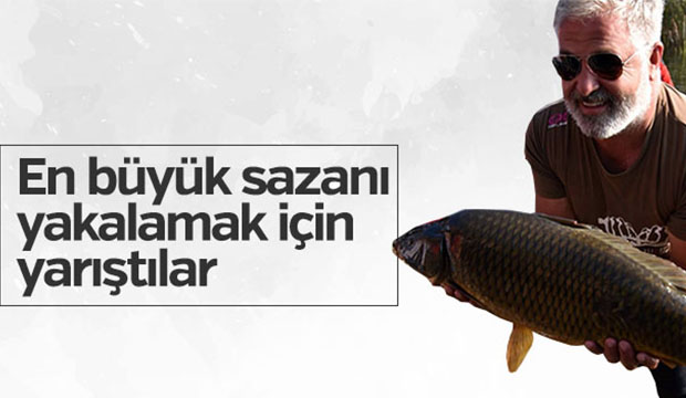 En büyük sazanı yakalamak için yarıştılar