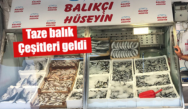 En taze balık çeşitleri Balıkçı Hüseyin'de 