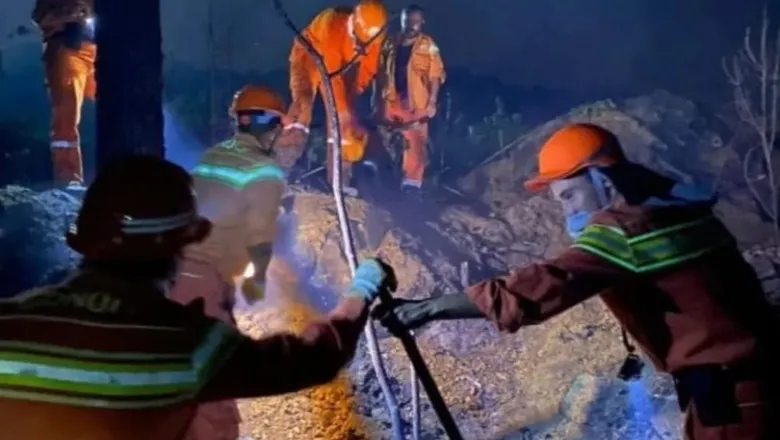 Erenler'de orman yangını