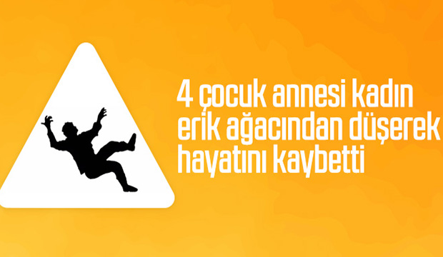 Erik toplarken ağaçtan düşüp öldü