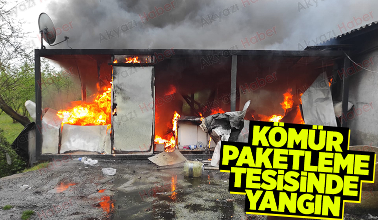 Eski tavuk çiftliğinde yangın paniği