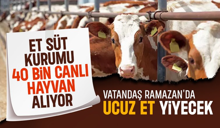 Et ve Süt Kurumu Ramazan için 40 bin canlı hayvan alacak