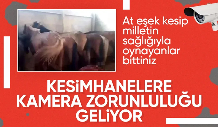 Et ve yumurtaya yeni standart geliyor