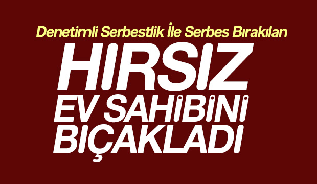  EV SAHİBİNİ BIÇAKLADI