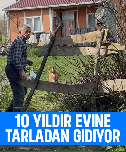 Ev var yol yok: 10 yıldır tarladan yürüyor