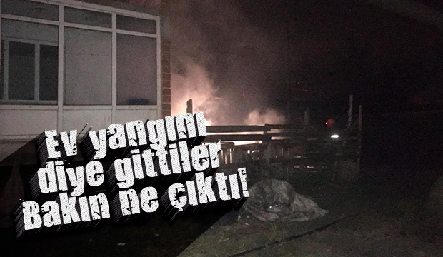 Ev yangını diye gittiler bakın ne çıktı