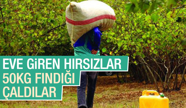 Eve Giren Hırsızlar 50 Kilo Fındığı Çaldılar