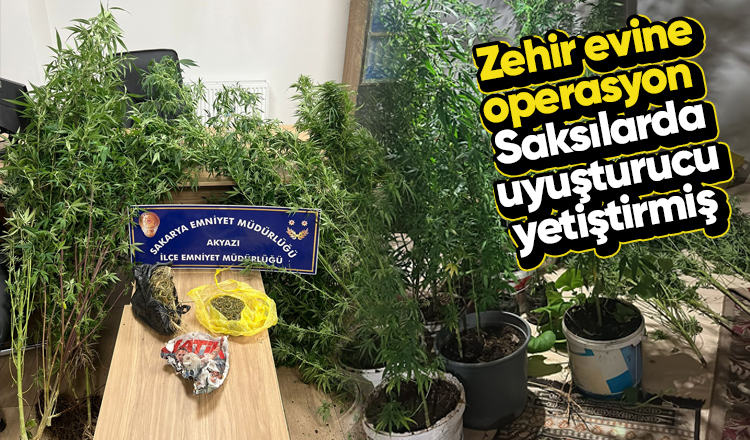 Evinde uyuşturucu yetiştiren zehir taciri yakalandı