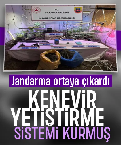 Evine iklimlendirme sistemi kurup kenevir yetiştirmiş