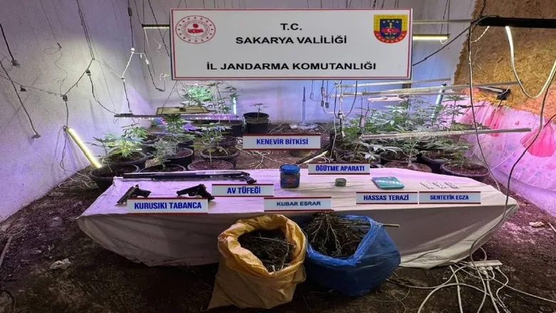 Evine iklimlendirme sistemi kurup kenevir yetiştirmiş