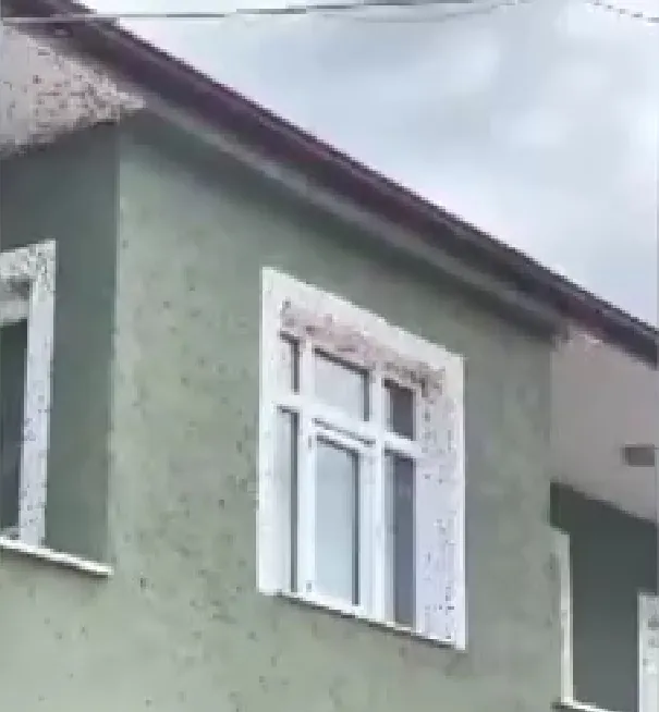 Evleri, binaları istila ettiler; Sokağa çıkmakta zorlanıyorlar