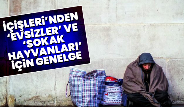 Evsizler ve sokak hayvanları için genelge