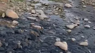 Eylemden saatler sonra Mudurnu Deresi'ni kirlettiler