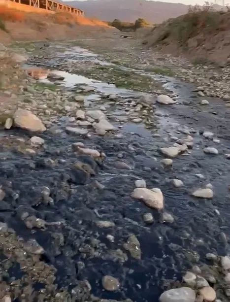 Eylemden saatler sonra Mudurnu Deresi'ni kirlettiler