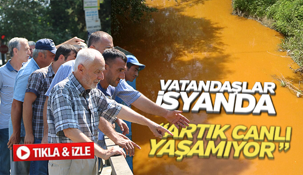 Fabrika Atıkları Dereyi Öldürdü, Vatandaşlar İsyanda Artık Canlı Yaşamıyor