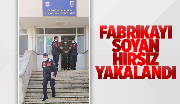 Fabrikayı soyan hırsız yakalandı