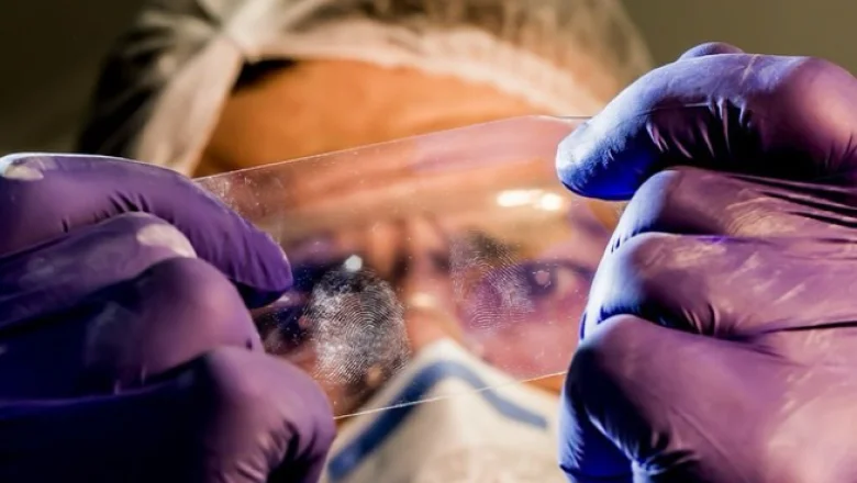 Faili meçhuller için özel daire başkanlığı kuruldu