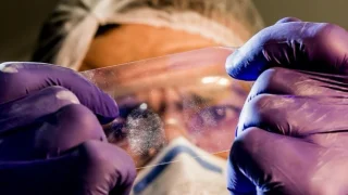 Faili meçhuller için özel daire başkanlığı kuruldu