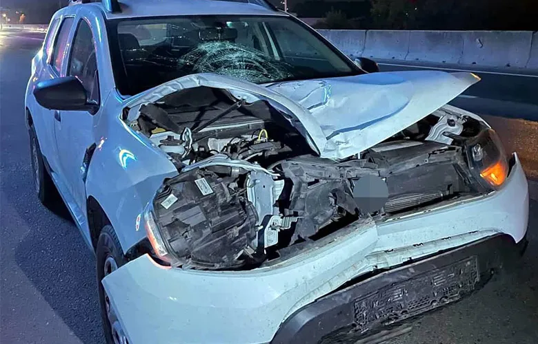 Feci kazada ölen kadının kimliği belli oldu