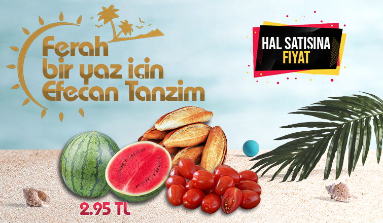 Ferah Bir Yaz için, Efecan Tanzim !