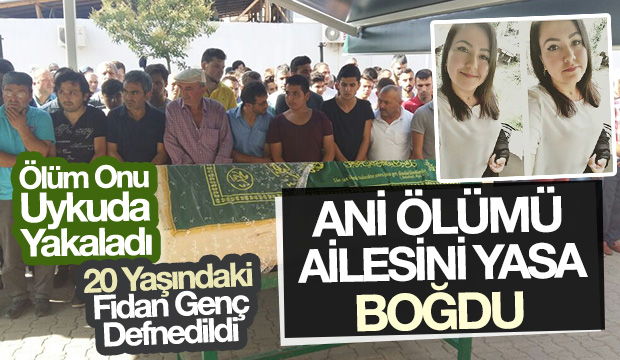 Fidan Genç Defnedildi