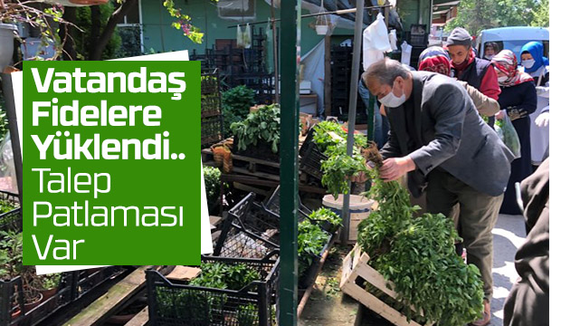 Fide Satışları Arttı 