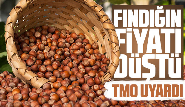 Fındığın fiyatı düştü
