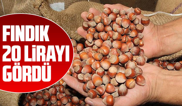 Kabuklu fındık 20 lira oldu