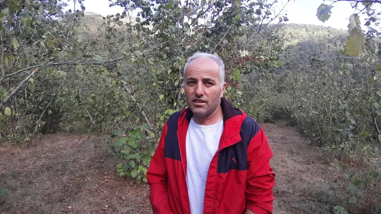 Fındık bahçesinde ayı dehşeti; Parmağını kaybetti