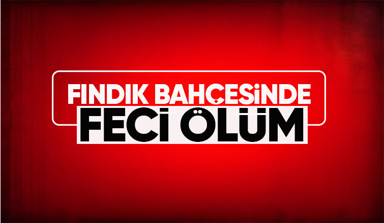 Fındık bahçesinde traktör devrildi: 1 ölü
